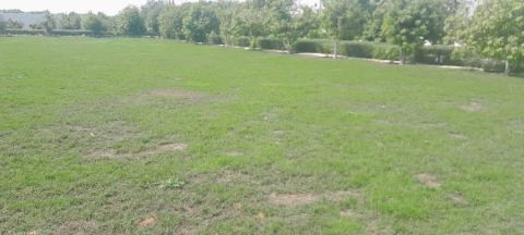 مهندس زراعي بخبرة 10