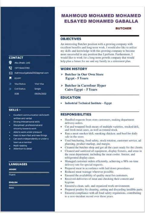 جزار مصري خبرة زيارة