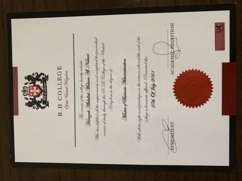 Professional accountant with a