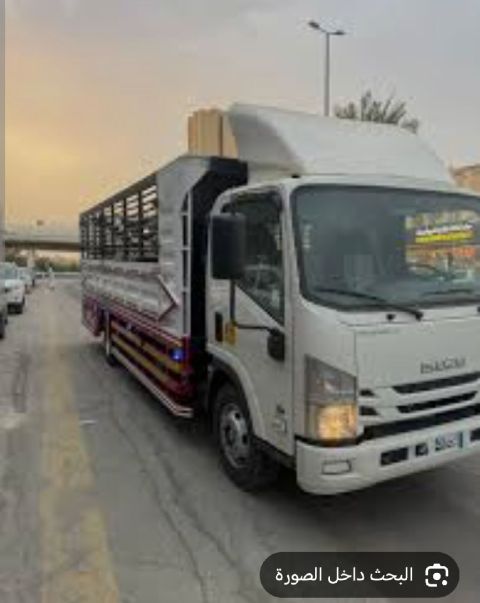 عمال تحميل تنزيل كنتيرات