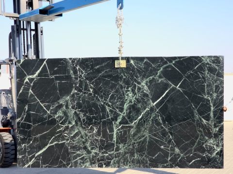 Bianco rhino and spider