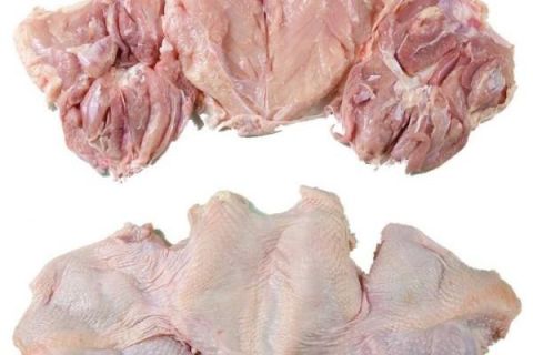 مطلوب معلم تشفيه دجاج