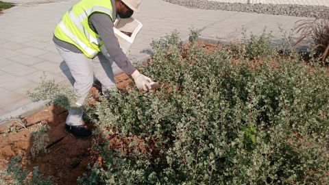 شركة سما الدوليه لي