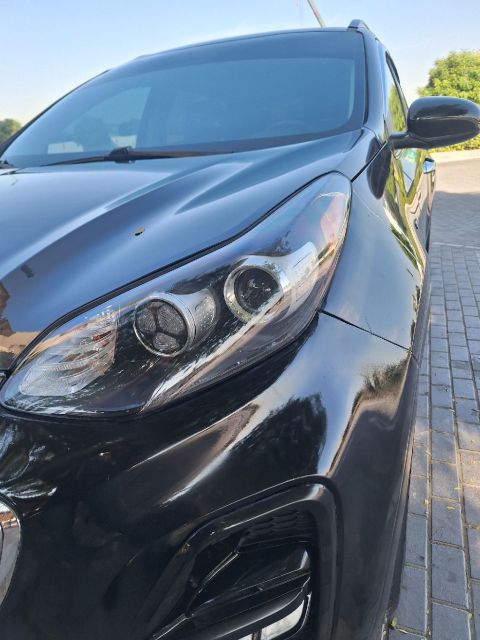 الفخامة الملك الأسود كيا