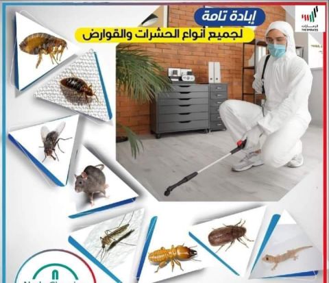 رش البيت داخلي وخارجي