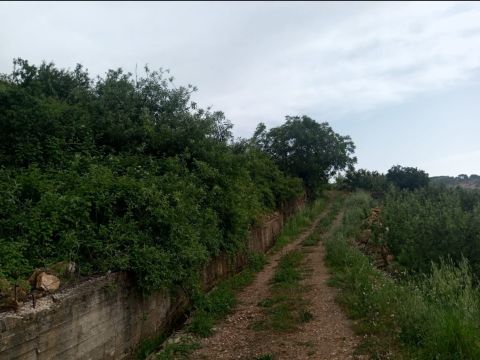 بلوك مميز في صنين