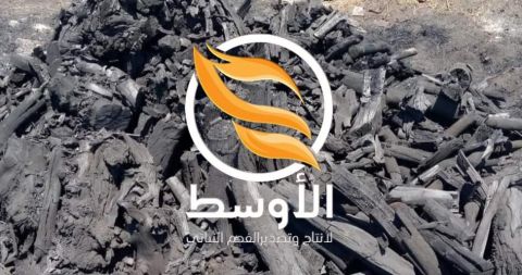 فحم الحمضيات المصدر الأفضل
