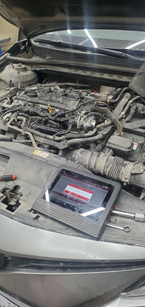 أبو مالك معلم تصفيات