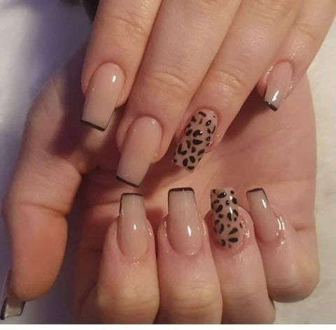 متخصص هارد جيل وفيك