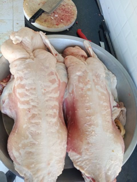 معلم مندي وحنيذ ومظبي